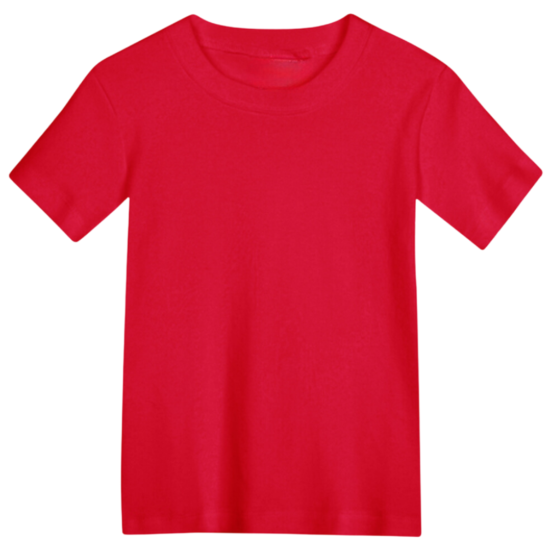 Short Sleeve Toddler Tee