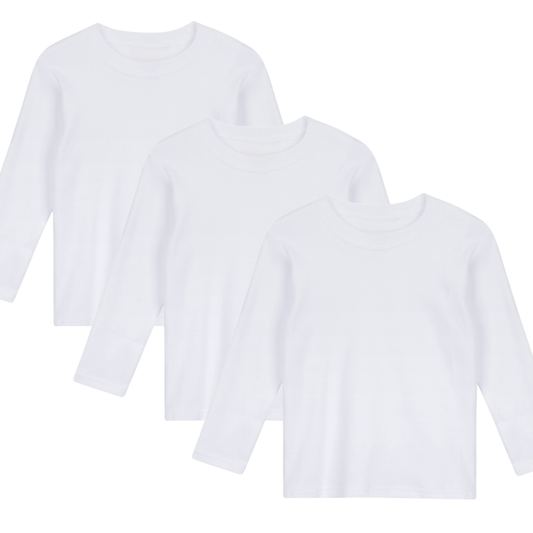 Long Sleeve Toddler Tee Bundle